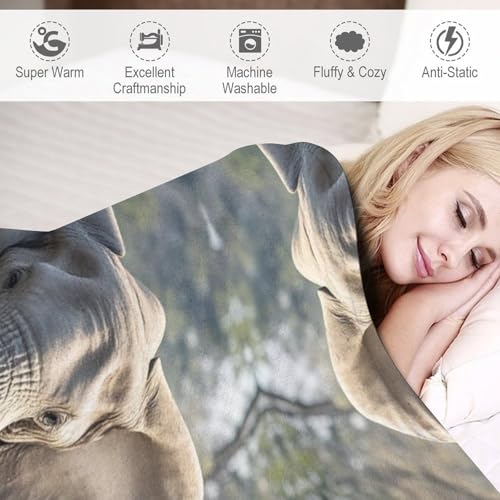 Couverture éléphant chaude en flanelle contre les nuits fraîches