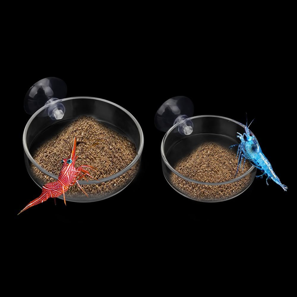 SENZEAL 2PCS Aquarium Shrimp Feeder Dish Glass Aquarium Feeding Food Bowl Round Clear Fish Feeding Tray with Suction Cup for Aquarium Fish Tank Reptiles