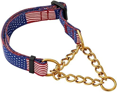 Dog Collar Martingale Collars with Release Buckle Chain Training Pet Collars Dog Nylon Martingale Collar with Stainless Steel Chain Adjustable Collar for Small Medium Dogs (Gold Chain, 22")
