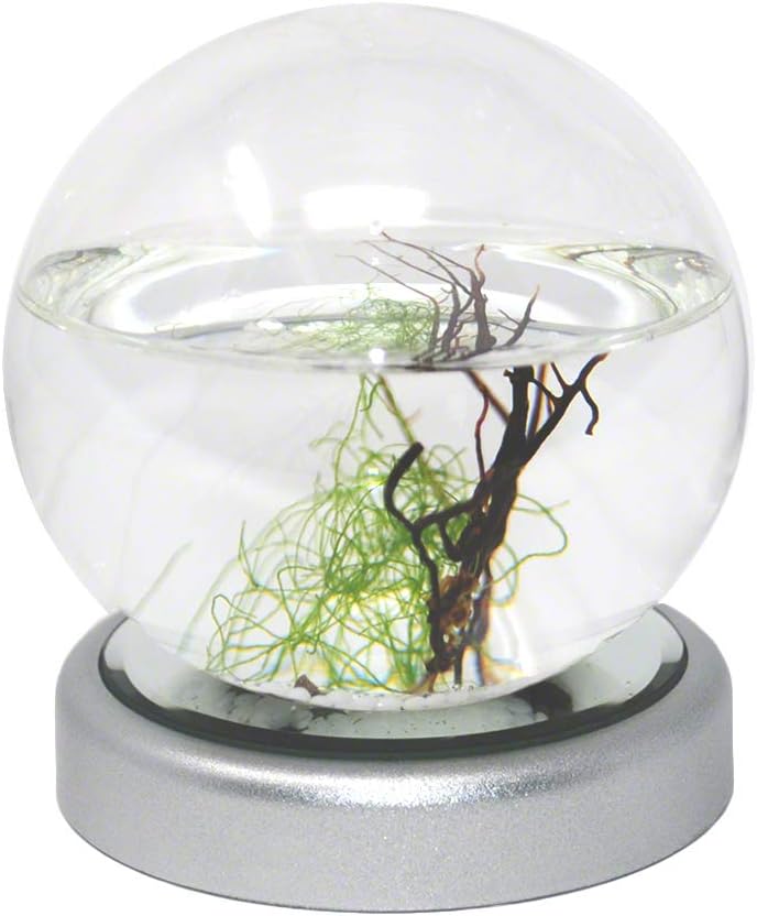 EcoSphere Closed Aquatic Ecosystem, Small Sphere with LED Base