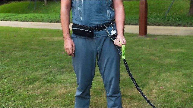 Hands-Free Dog Leash for Dogs up to 130 lbs – Heavy-Duty, Shock-Absorbing Bungee Leash with Zipper Pouch, Dual Padded Handles & Adjustable Waist Belt for Running & Walking – Sky Blue - image 8