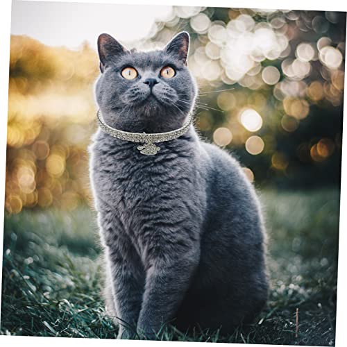 Accesorios de brillo para gatos BESPORTBLE con 4 piezas ajustables 6