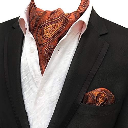 Men 4-Pack Wedding Striped Paisley Cravat Ascot Scarf Neckties Pocket Square Set - Thumbnail 5