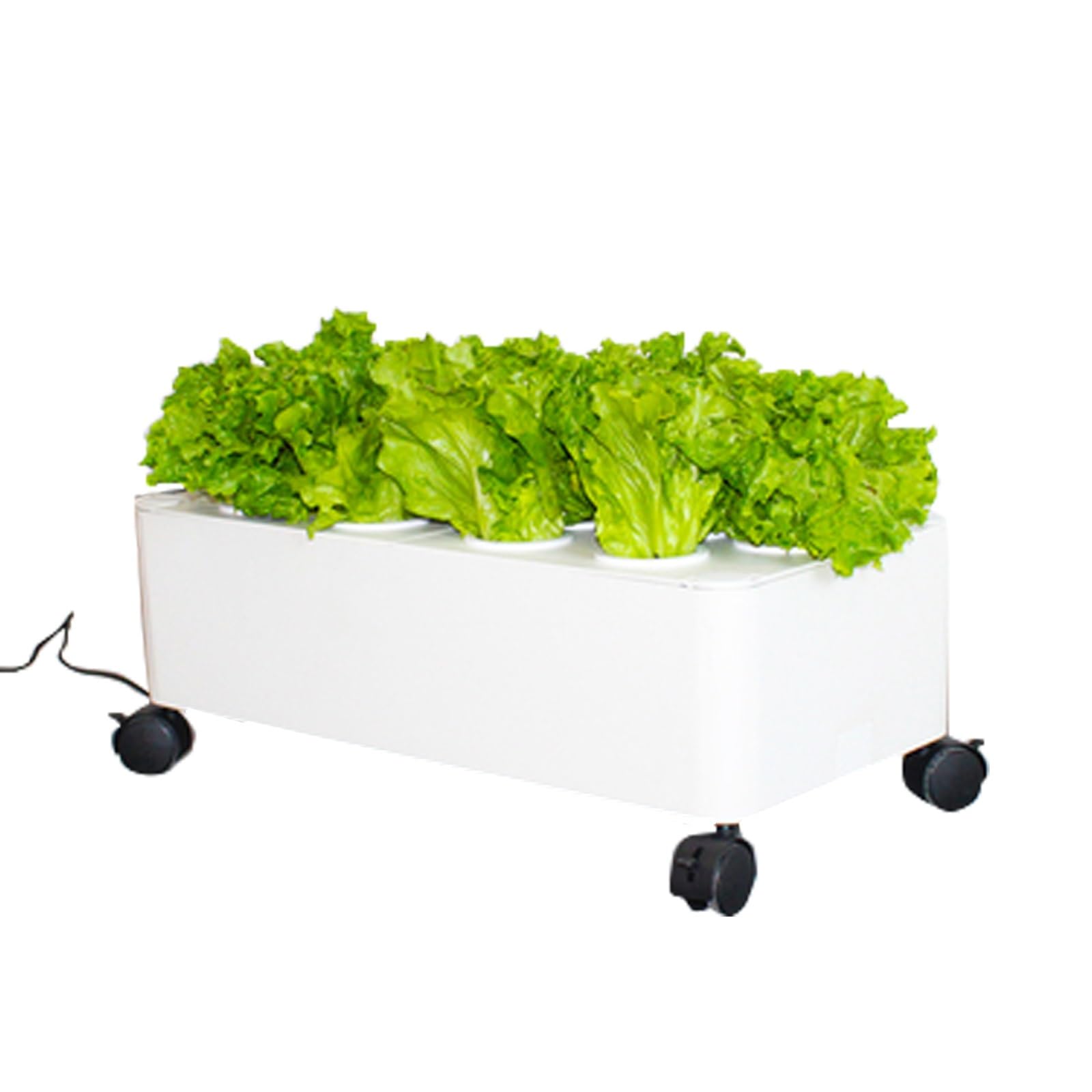 Giardino Idroponico, Fioriera Per Giardino Verticale Da Interno, Orto Intelligente Per Erbe Aromatiche Con Spina Temporizzata E Sistema Di Irrigazione Automatica Per Giardinaggio(Without light,1 layer