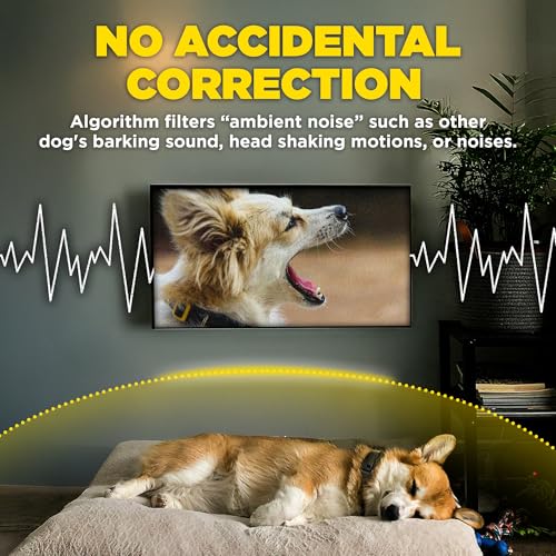 Dogtra Smart NOBARK Collar Strengths and Trade-Offs