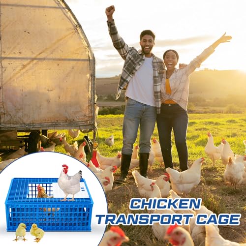 Image of GlikCeil 2 Pcs Poultry Duck Carrier Crate 3 Door Chicken Transport Cage Plastic Poultry Carrier Basket Box for Chicken Duck Goose Birds, 29.53 x 21.65 x 11.42 Inch(Blue)