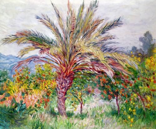 Toile Claude Monet Palmier à Bordighera - Tableau Impressionnisme Décoration Murale 60x90