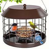 Gbekery Caged Bluebird Feeder for Mealworms with Glass Bowl, Squirrel Proof Bird Feeder for Small Birds Only, Detachable Hook, Large Space, Outdoors Weatherproof, Metal, Brown