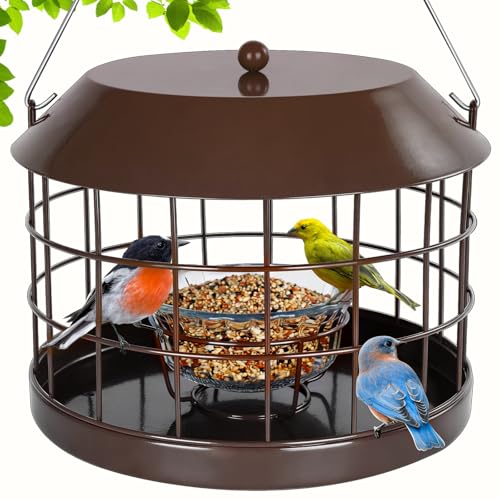 Gbekery Caged Bluebird Feeder for Mealworms with Glass Bowl Squirrel Proof Bird Feeder for Small Birds Only Detachable Hook Large Space Outdoors Weatherproof Metal Brown
