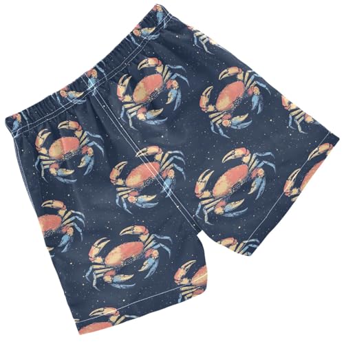 Pigsaly Boys Swim Trunks Colored Crab Underwater Watercolor Boys Board Shorts Swimsuit Swimwear Summer Bathing Suit 2T Multicolor2