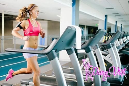 Page de couverture de Hướng dẫn tập Gym để giảm cân, tăng cân, thể lực