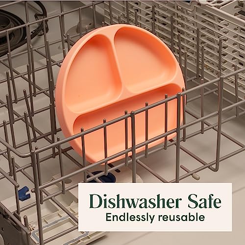 Simka Rose Baby Suction Plates for Toddler - Silicone Divided Design, BPA Free, Microwave & Dishwasher Safe - Baby Led Weaning Supplies Utensils (Pack of 1) by Simka Rose - Image 5
