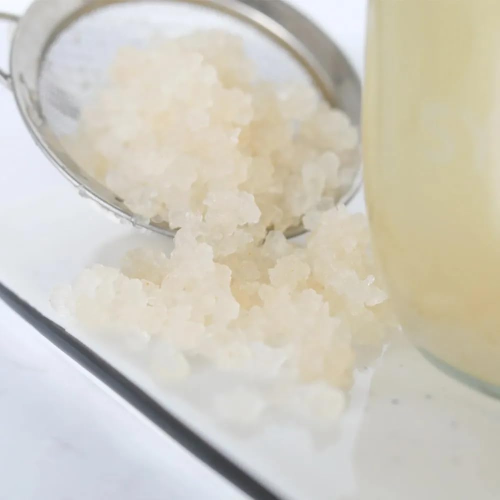 Pack 2x100g de Hongo/Nódulos Frescos de Kéfir de Agua + Instrucciones + Recetas + Ayuda y Asesoramiento en español - OH MY KÉFIR®