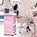TASALON Professional Salon Trolley Cart, Lockable 6 Trays & 2 Holders, Space Saving Mobile Storage for Hair Salon and Beauty Station​ - Pink