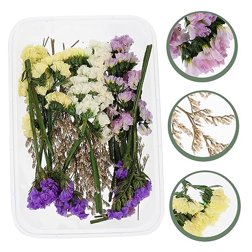 Flores secas decorativas para centros de mesa y vela flotante miniatura 6