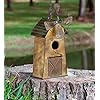 MOCOME 13" H Metal Bird Houses for Outside Hanging Birdhouses Outdoor (Windmill)