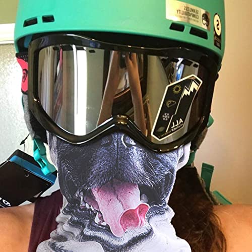 Image of Cat Balaclava,Dog Balaclava,Halloween Hat,Cute Full Face Hood Mask Animal Ski Mask for Hiking Riding Sports Outdoor