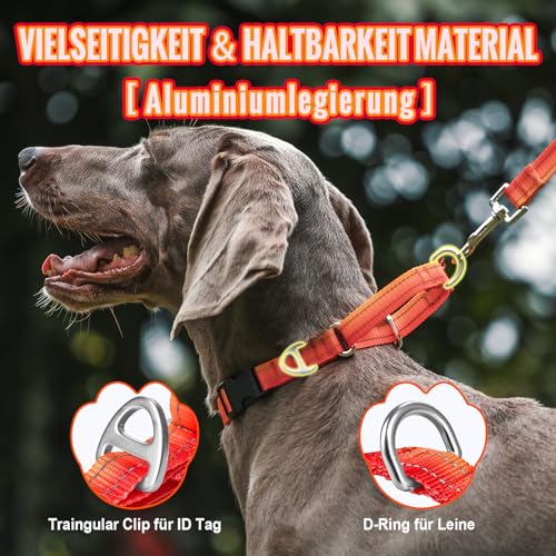 Arblina Martingale Hundehalsband, Reflektierendes Zugstopp Halsband Hunde für Große Mittlere und Kleine Hunde, Nylon Zughalsband mit Stopp für Hunde Whippets, Greyhounds, Saluki, Orange,L