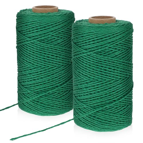 2 rollos de cuerda de jardín, 100 m, verde natural, hilo para plantas, hilo resistente a la rotura para flores, manualidades, jardinería, regalos, decoración