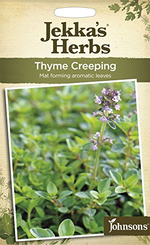 Johnsons - Jekka's Herbs - Pictorial Pack - Thyme Creeping - 1200 Seeds