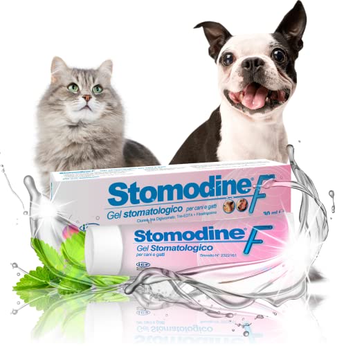 ICF Stomodine F - Cat & Dog Toothpaste Gel - Meat Flavour - Fights Plaque & Bad Breath - Healthy Dental Oral Hygiene - Easy to Use Teeth Cleaner for Pets