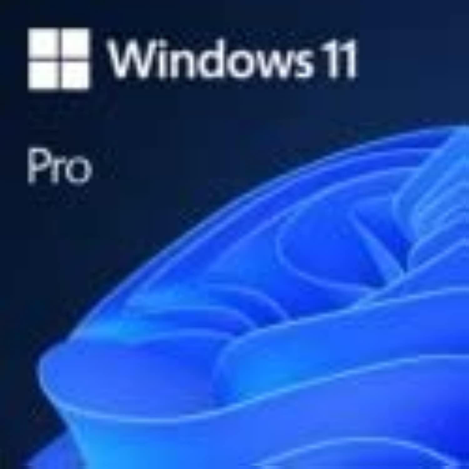 Microsoft Windows 11 Pro 64 Bit - 1 PC - ESD İndir ESD : Amazon