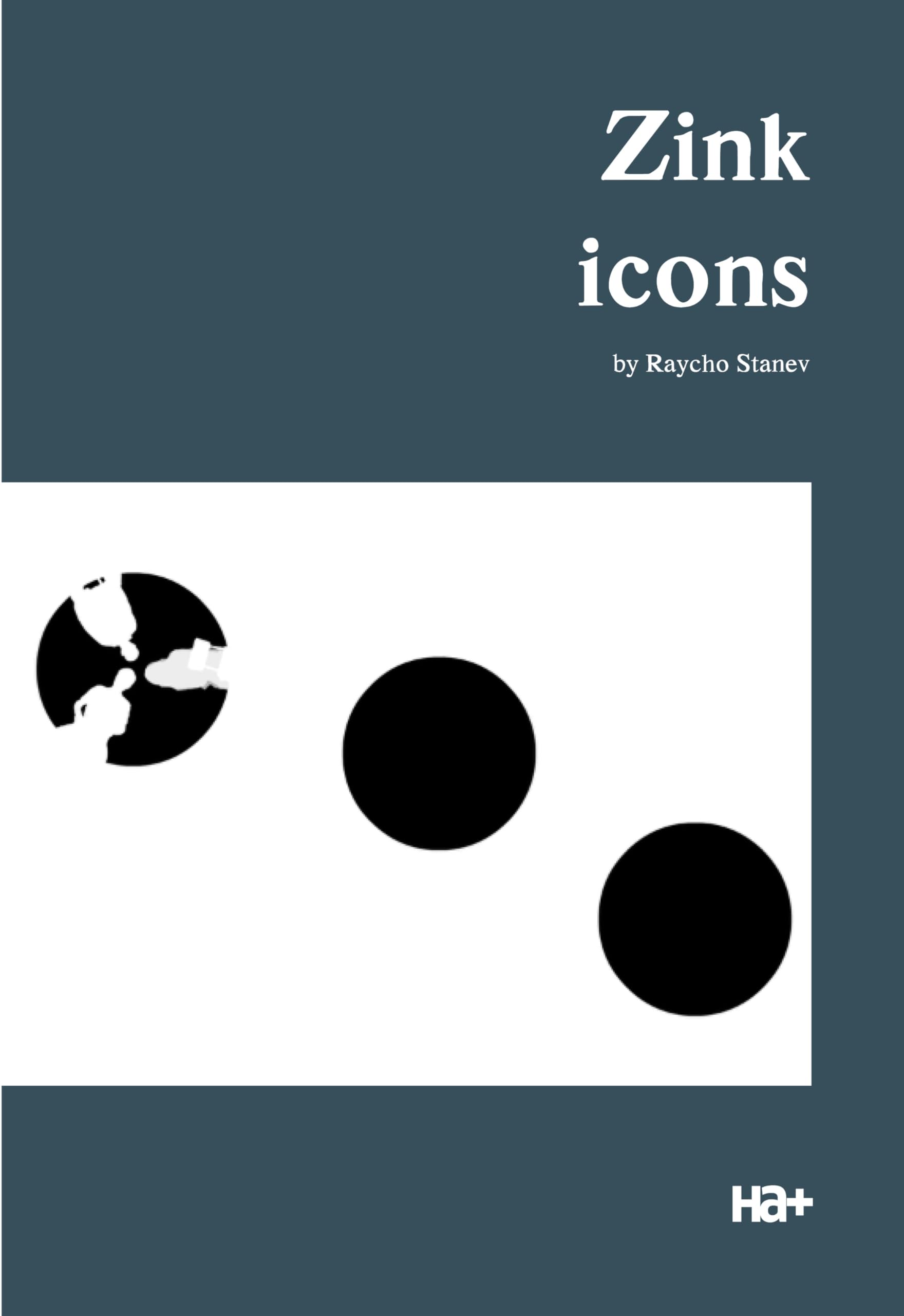 Zink Ikons English Edition livre de photographie en anglais d'art visuel pop