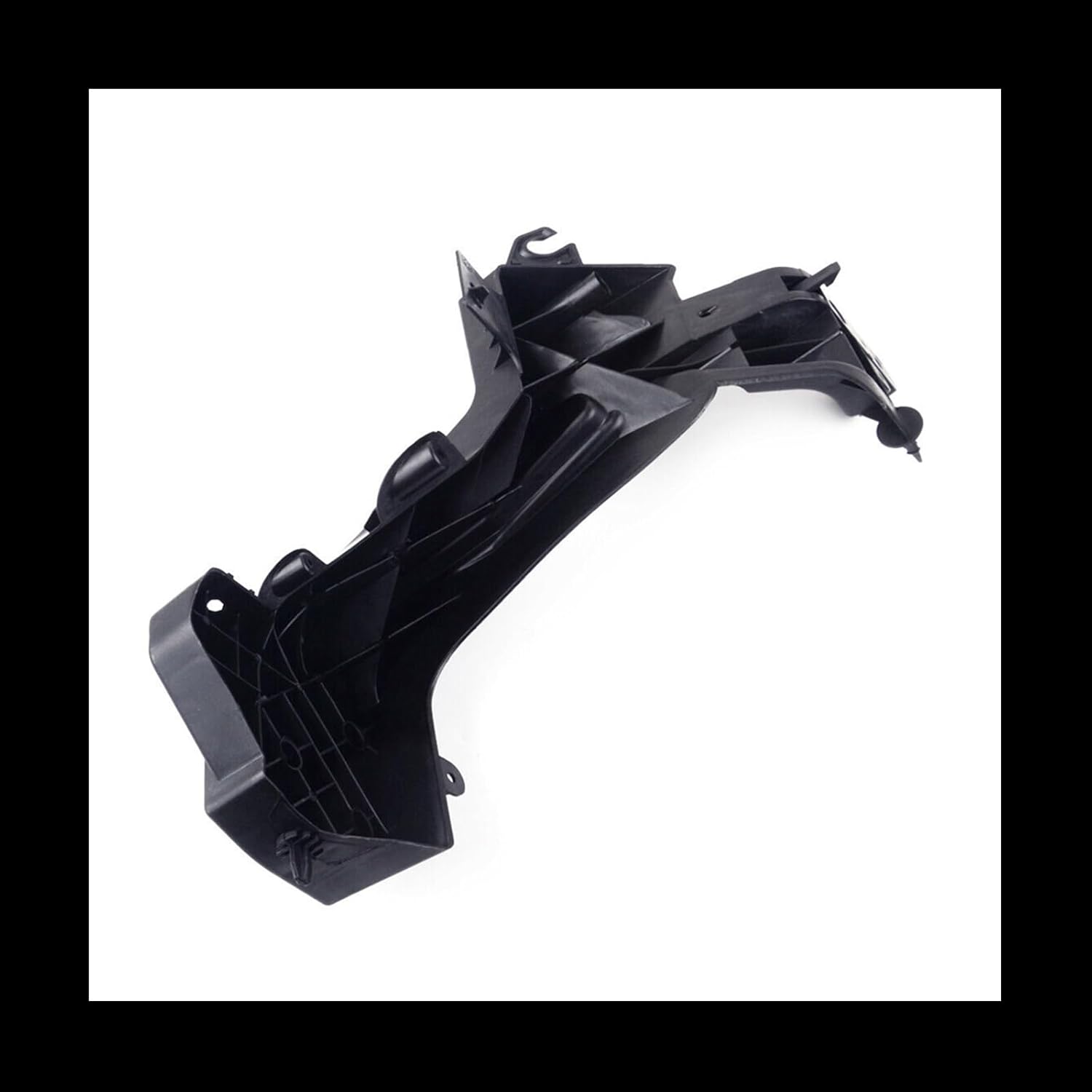 21 S&P アンスリウム ポルティラエ 大株 オープンサイナス Anthurium