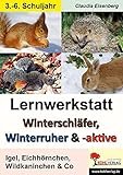  Lernwerkstatt Winterschläfer, Winterruher & -aktive: Igel, Eichhörnchen, Wildkaninchen & Co.