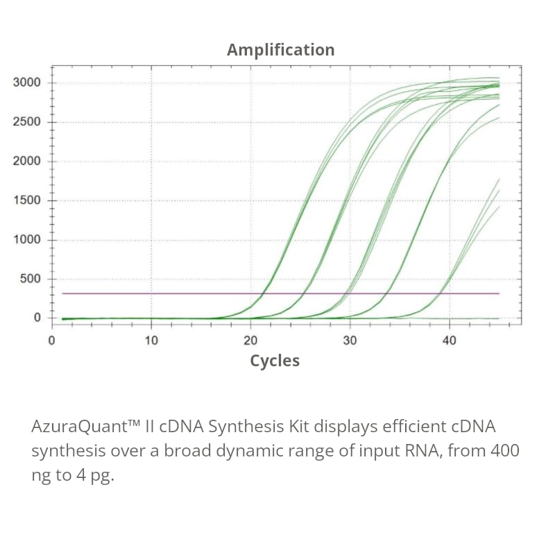 AzuraQuant™ II cDNA Synthesis Kit 100 Reactions