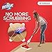 Resolve Pet Specialist Easy Clean Brushing Kit includes High Traffic Foam Carpet Cleaner, Pet Stain and Odor Remover, 22oz