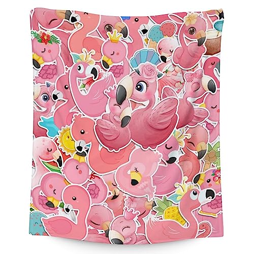 Flamingo Blanket Gifts - 50x60 Inches Cute Throw for Women & Girls - Pink Soft Fuzzy Blankets for Bed, Couch & Living Room