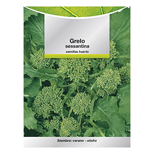 SATURNIA Semillas Grelo Brocoli (10 gramos) Semillas Verduras, Horticultura, Horticola, Semillas Huerto.