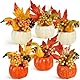 Miaikoe Set von 6 künstlichen Kürbis Dekorationen, Herbst Dekorative Orange Kürbis mit Ahornbeere Eichel Kiefer Kegel Gemüse für Herbst Thanksgiving Ernte Party Dekoration