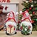 Hodao Christmas Resin Gnomes Handmade Christmas Resin Gnomes Holiday Present, Winter Table Christmas Tree Decorations Indoor and Display on Mantel or Window Sill