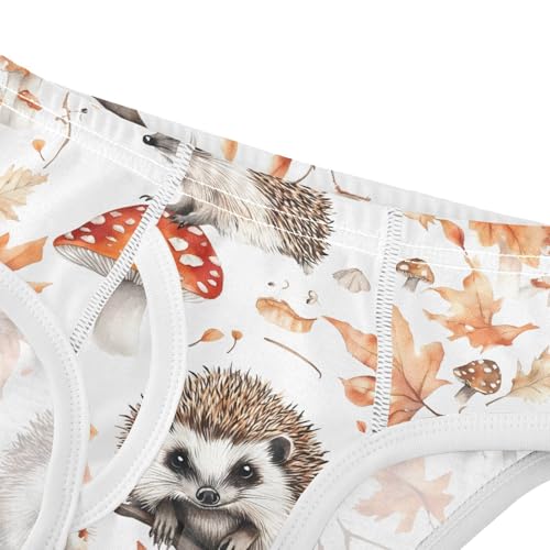 Cute Hedgehog Mushroom Toddler Boy's Underwear 2T 202b90364