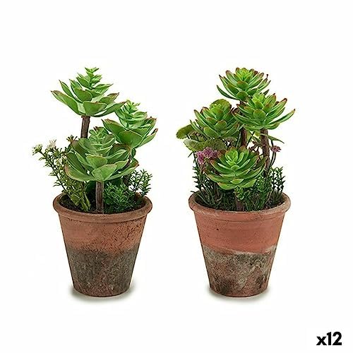 Plante décorative multicolore standard pour intérieur - 3