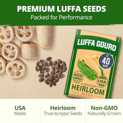 Image of HOME GROWN Luffa Seeds 40 Heirloom Non-GMO Loofah Gourd Seeds for Planting, High Germination, Grow Your Own Natural Bath Sponges, Edible Vining Vegetable Garden, Harvest Young Gourd (Luffa aegyptiaca)