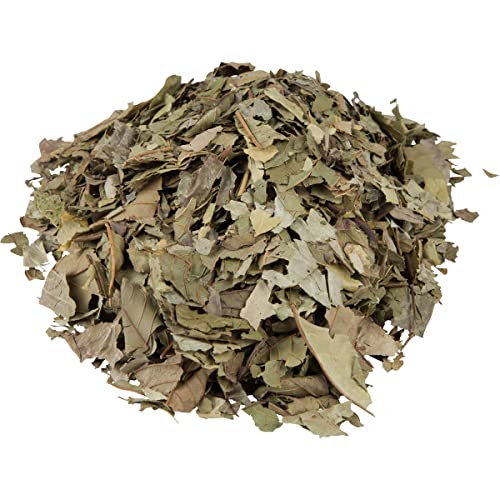 Hanan Guava Leaves 1.4Oz (Hojas De Guayaba 40G) Loose Leaf Herbal Tea From Peru - All-Natural, Dried Leaves From Psidium Guajava Plant Aka Goyave, Goiaba, Guaven #TOP3