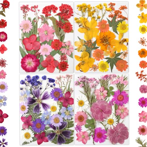 LUXEEASE 80 Pcs Dried Flowers for Crafts, Real Natural Dried Pressed Flowers in Vibrant Colors for Resin, DIY Art, Jewelry, Candle & Soap Making – Tweezers Included