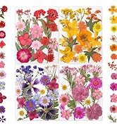 LUXEEASE 80 Pcs Dried Flowers for Crafts, Real Natural Dried Pressed Flowers in Vibrant Colors fo...