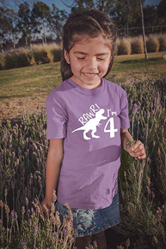 rawr im 4 Year Old Girl Birthday Shirt Dinosaur Roar Four 4th Toddler Outfit Fourth3