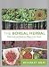 The Boreal Herbal: Wild Food and Medicine Plants of the North