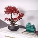 LUNAH Plantas Artificiales Simulación China Hoja de Arce Arce Rojo Bonsái Falso...