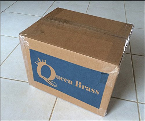 Queen Brass New Flag Herald Bb Trumpet Mp+Case White #TOP3