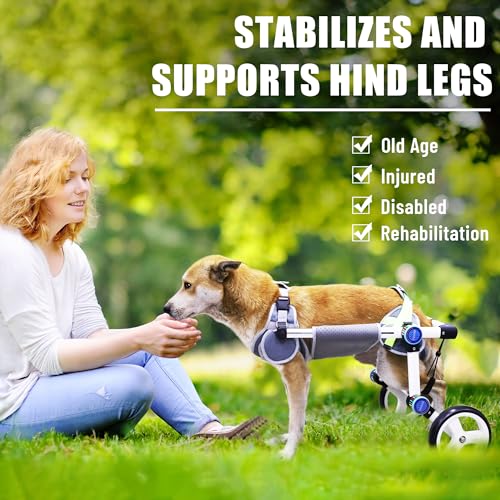 LetPetRun Cadeira De Rodas Para Cães, Ajustável Cães Com Patas Traseiras, Carrinho Estável Traseiras