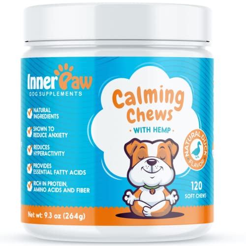 List of Top Ten Best Ginger Root For Dogs [Top Picks 2023 Reviews]