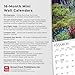 Gardens | 2026 7 x 14 Inch (Hanging) Monthly Mini Wall Calendar | BrownTrout | Gardening Outdoor Home