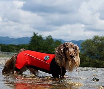 Amazon.com: ALPHAICON W.Full Dog Guard : 寵物用品