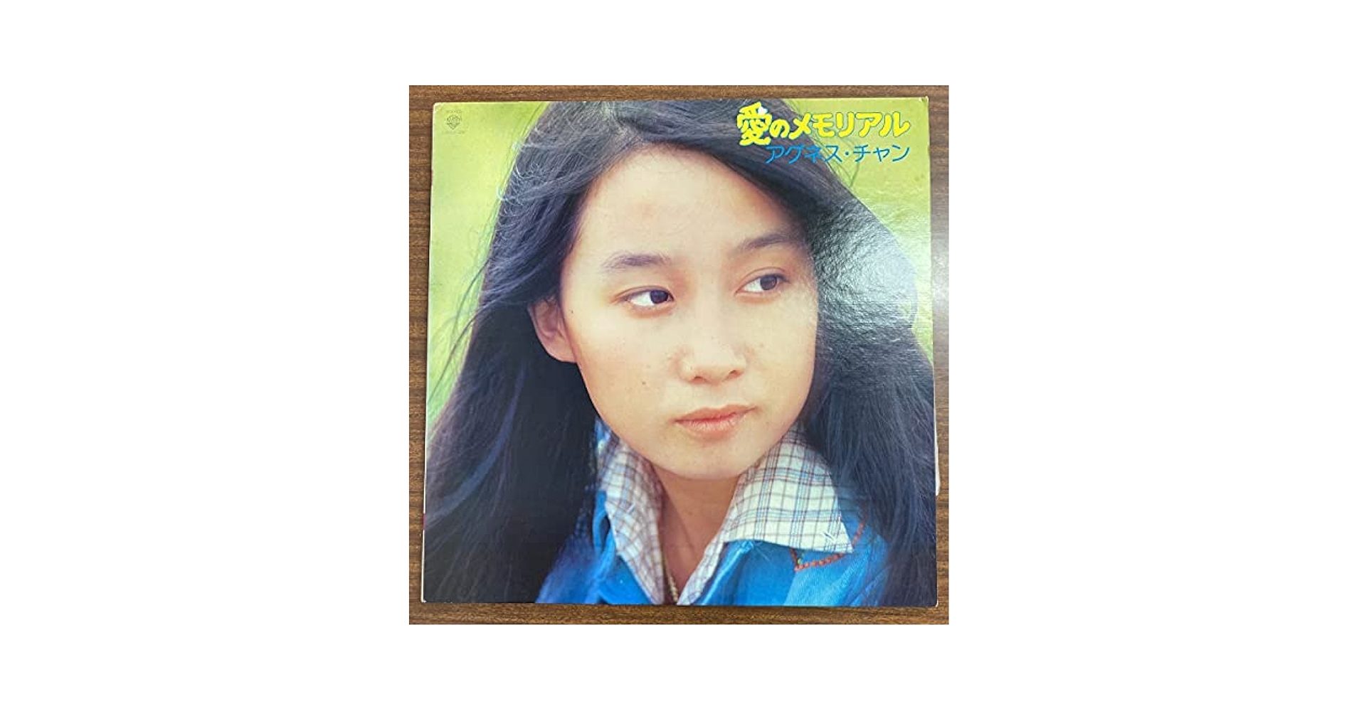 アグネスチャンモデル画集